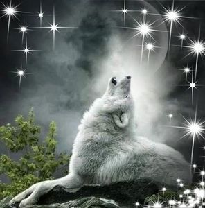 Meet your Posher, Shari